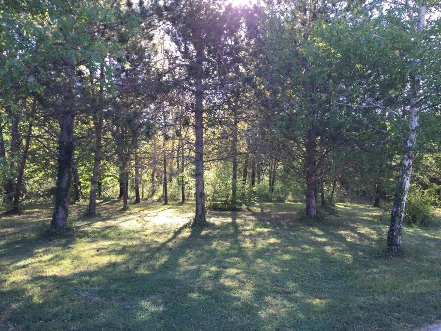 Grande Maison Avec Parc De 6000M2 Pompiey Bagian luar foto