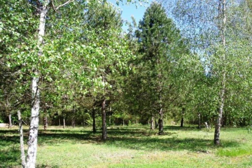 Grande Maison Avec Parc De 6000M2 Pompiey Bagian luar foto